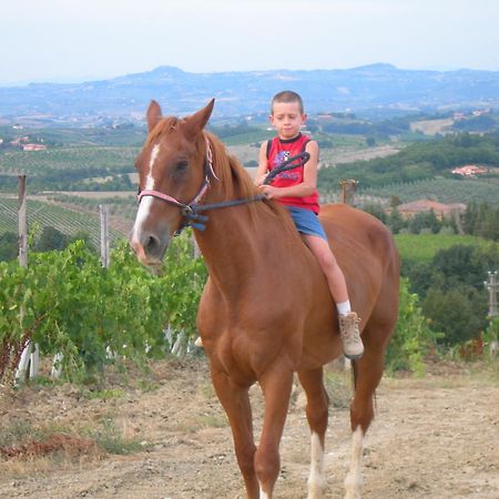 Agriturismo Podere La Marronaia San Gimignano Luaran gambar