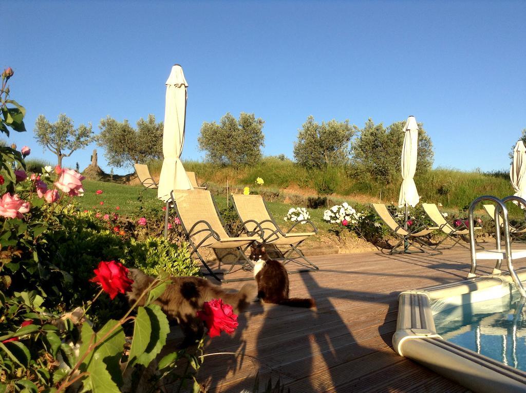 Agriturismo Podere La Marronaia San Gimignano Luaran gambar