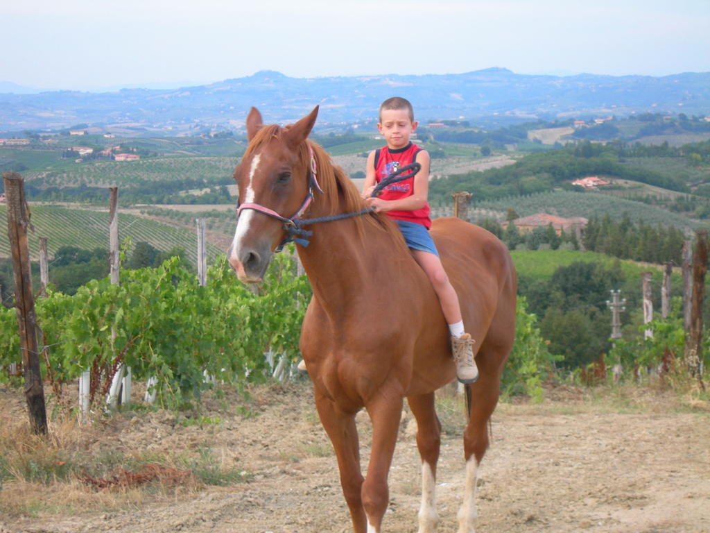 Agriturismo Podere La Marronaia San Gimignano Luaran gambar