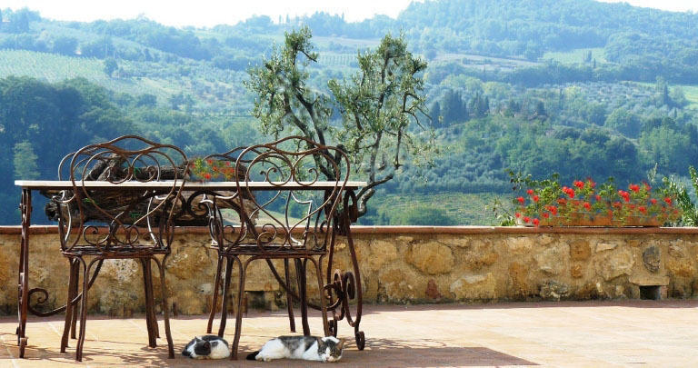 Agriturismo Podere La Marronaia San Gimignano Luaran gambar