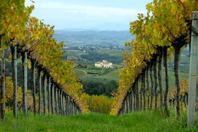 Agriturismo Podere La Marronaia San Gimignano Luaran gambar
